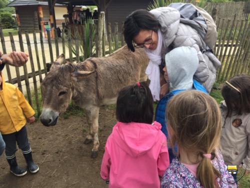 Sortie scolaire à planète sauvage pour les MS
